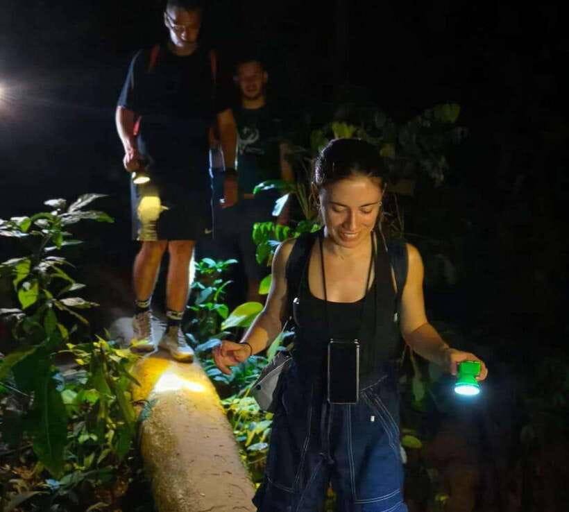 Khao Sok: Private Night Safari Adventure w/ Hotel Transfer - A 150-minute introduction to Khao Sok after dark
