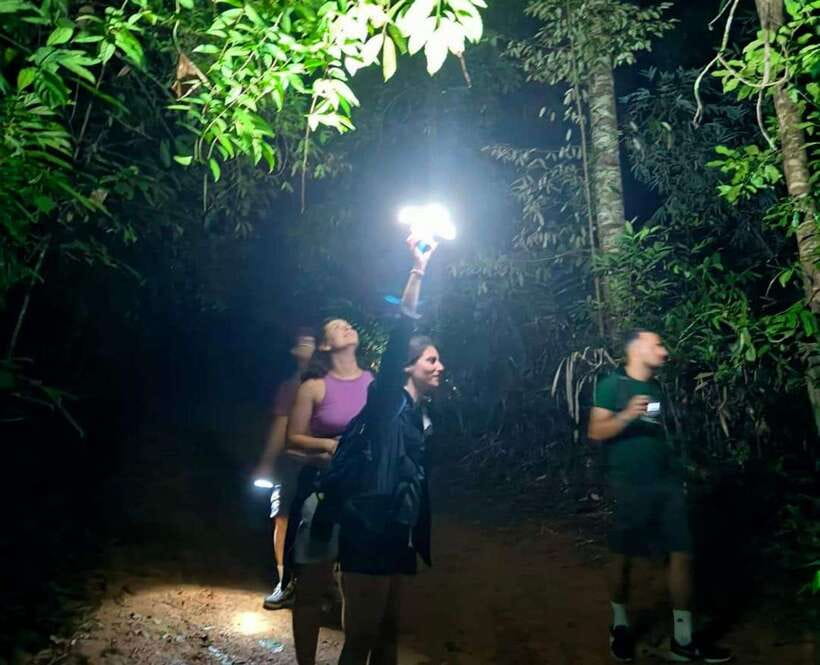Khao Sok: Private Night Safari Adventure w/ Hotel Transfer - Why the guide matters more than the trail