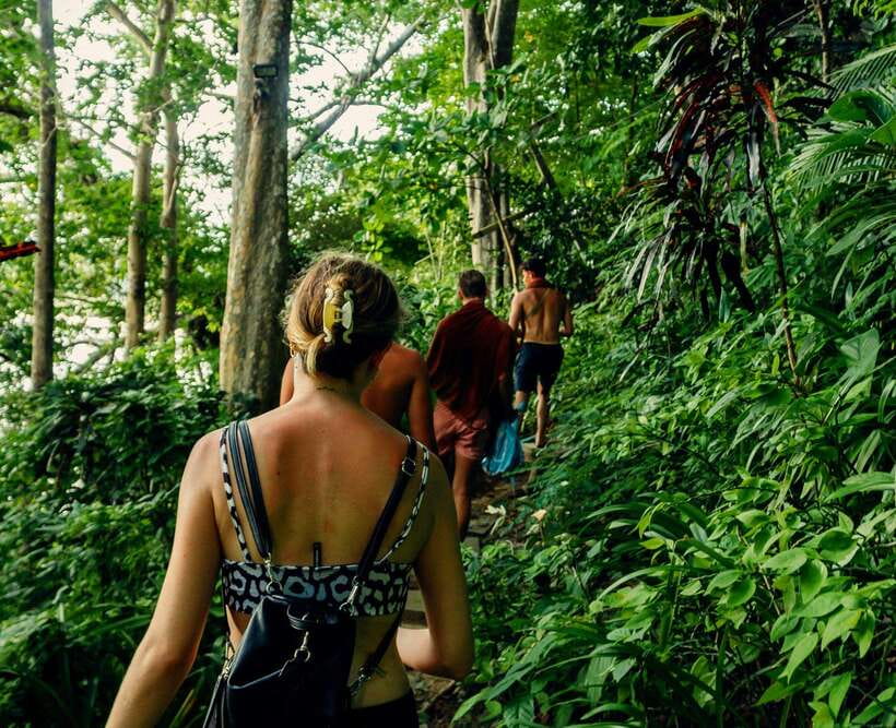 Khao Sok: Private Waterfalls and Wildlife Half-Day Trek - Why the guide matters more than the trail map