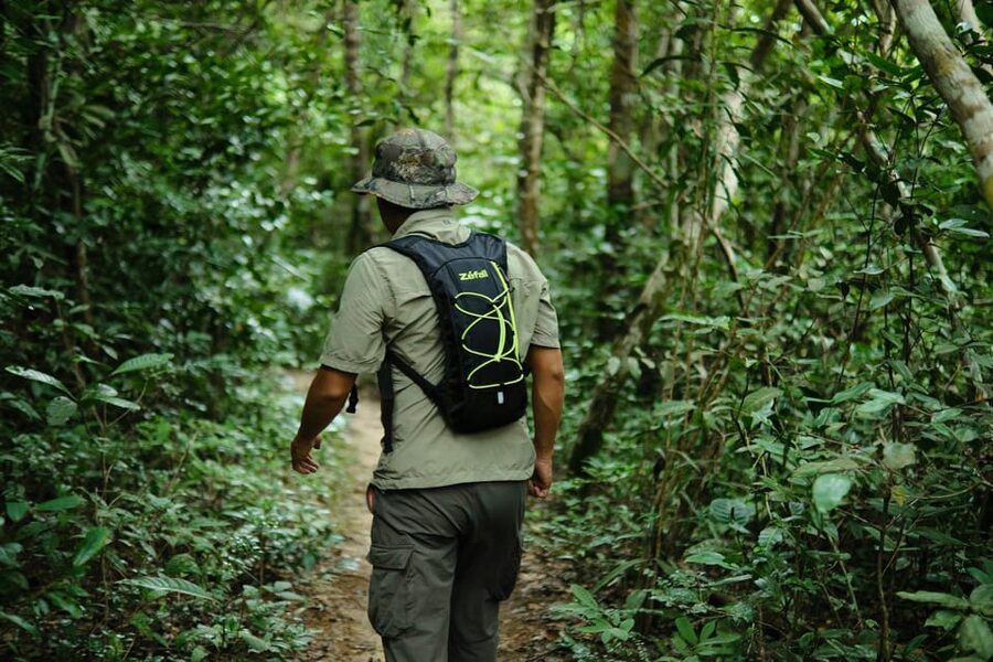 Khao Sok: Private Waterfalls and Wildlife Half-Day Trek - What $48 buys you in practical terms