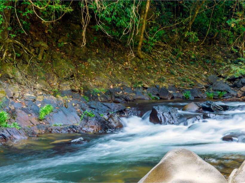 Khao Sok: Private Waterfalls and Wildlife Half-Day Trek - Heat, insects, and what to bring