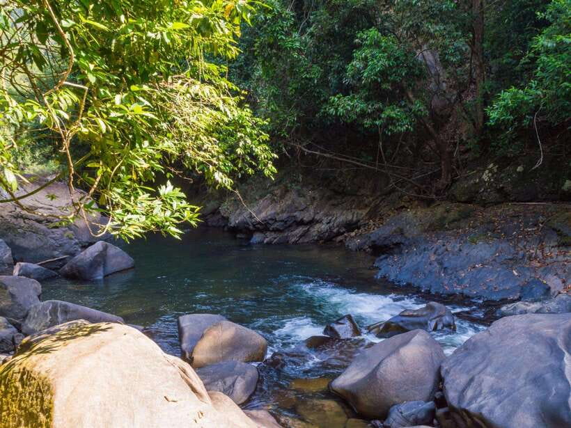 Khao Sok: Private Waterfalls and Wildlife Half-Day Trek - Who will enjoy this Khao Sok trek most?
