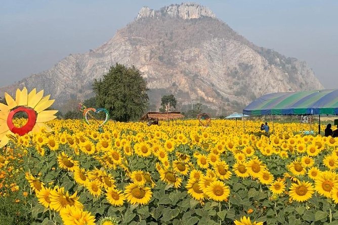 Khao Yai national Park day tour from Bangkok - Comfort During a Very Long Day