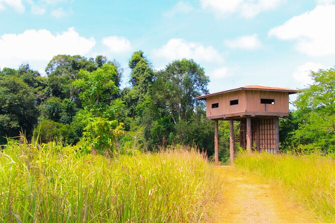 Khao Yai National Park Full Day - Why Khao Yai makes sense as a day trip from Bangkok
