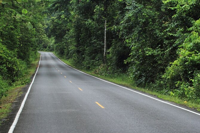 Khao Yai National Park Full-Day From Bangkok - Including Ticket - Lunch, Water, and What You Pay For