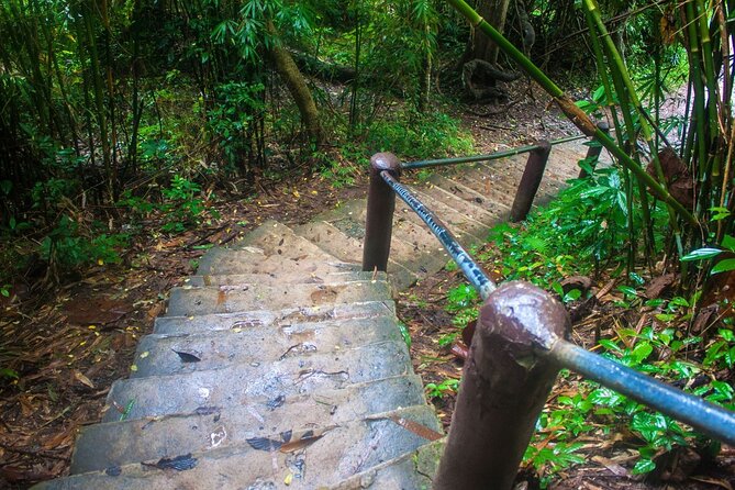 Khao Yai National Park Full-Day From Bangkok - Including Ticket - How to Make the Most of the 11 Hours