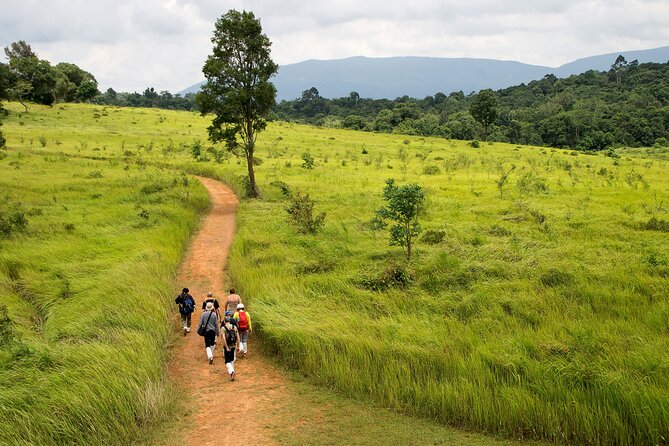Khao Yai National Park Full Day - The early pickup and long road to the park