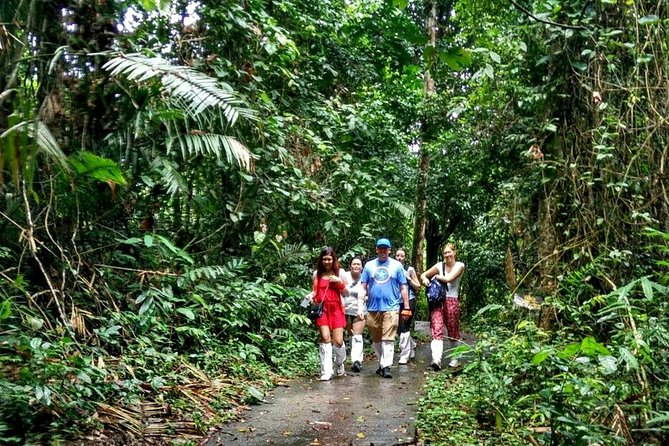 Khao Yai National Park Hiking Day Tour: Haew Narok and Haew Suwat - Haew Suwat and its film connection