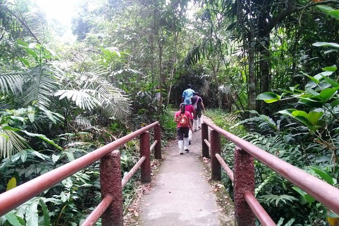 Khao Yai National Park Hiking Day Tour: Haew Narok and Haew Suwat - Sai Sorn Reservoir and the chance of wildlife