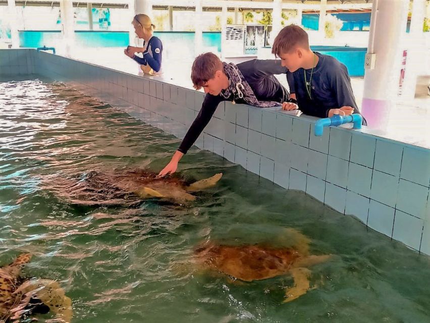 Khaolak: Bamboo Rafting, Waterfalls, and Turtle Conservation - What the $48 price really covers