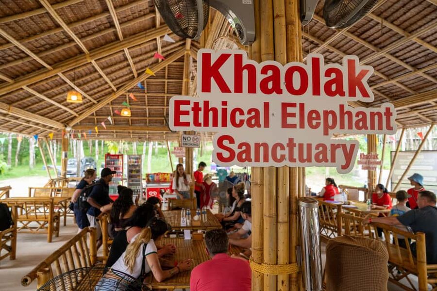 Khaolak: Elephant Sanctuary Guided Tour with Hotel Transfers - Who will enjoy this sanctuary most?