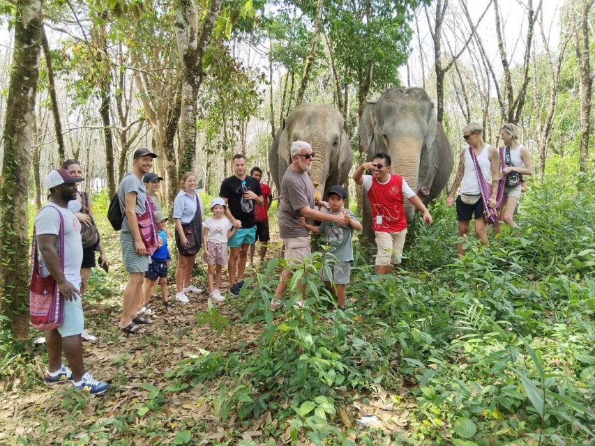 Khaolak: Sunset Elephant Walk with Complimentary Cocktail - The short jungle walk at sunset