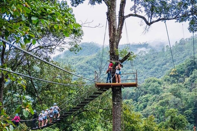 Kingkong Smile Zipline Adventure Tour From Chiang Mai - Who should book this Chiang Mai zipline?