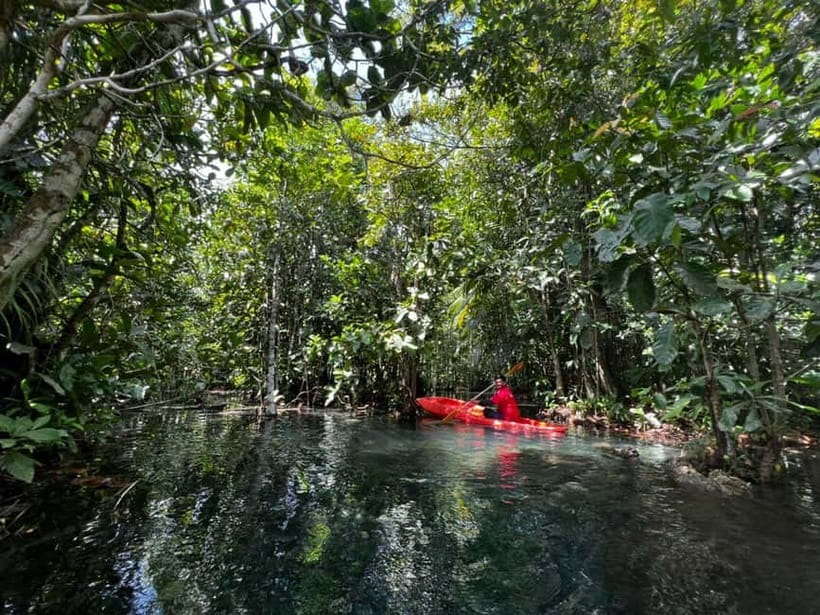 Klong Rud Kayaking with Hotel Transfer - Key points at a glance