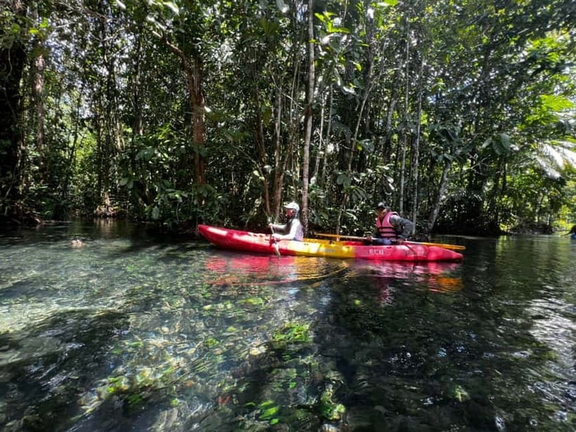 Klong Rud Kayaking with Hotel Transfer - Paddling through the forest lagoon