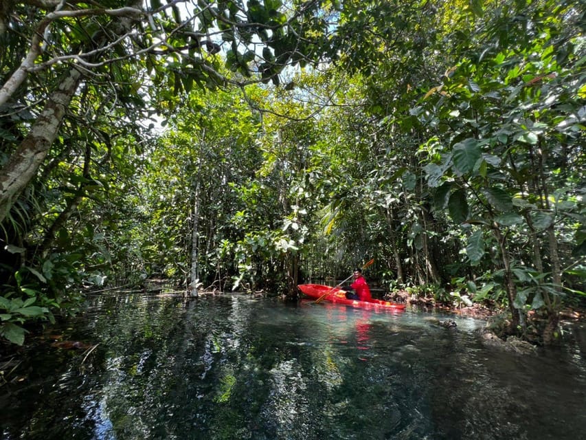 Klong Rud Kayaking with Hotel Transfer - The clear-water swimming stop