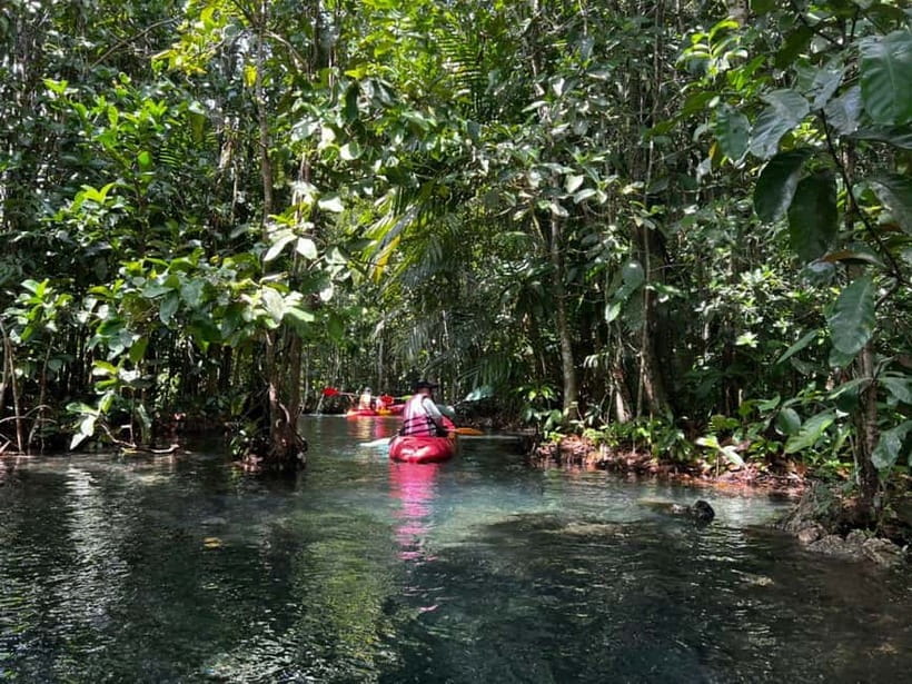 Klong Rud Kayaking with Hotel Transfer - What the 150 minutes really includes