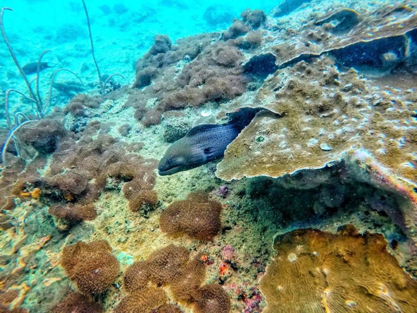 Ko Lanta: 4 Islands Snorkeling Tour by Longtail Boat - Ko Chueak, the first clear-water stop