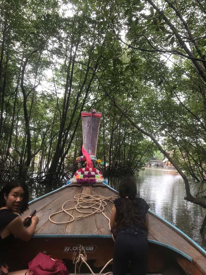 Ko Lanta: EXPLORE MANGROVE TOUR BY LONGTAIL BOAT WITH LUNCH - Why Ko Lanta’s Mangrove Forest Is Worth Your Morning