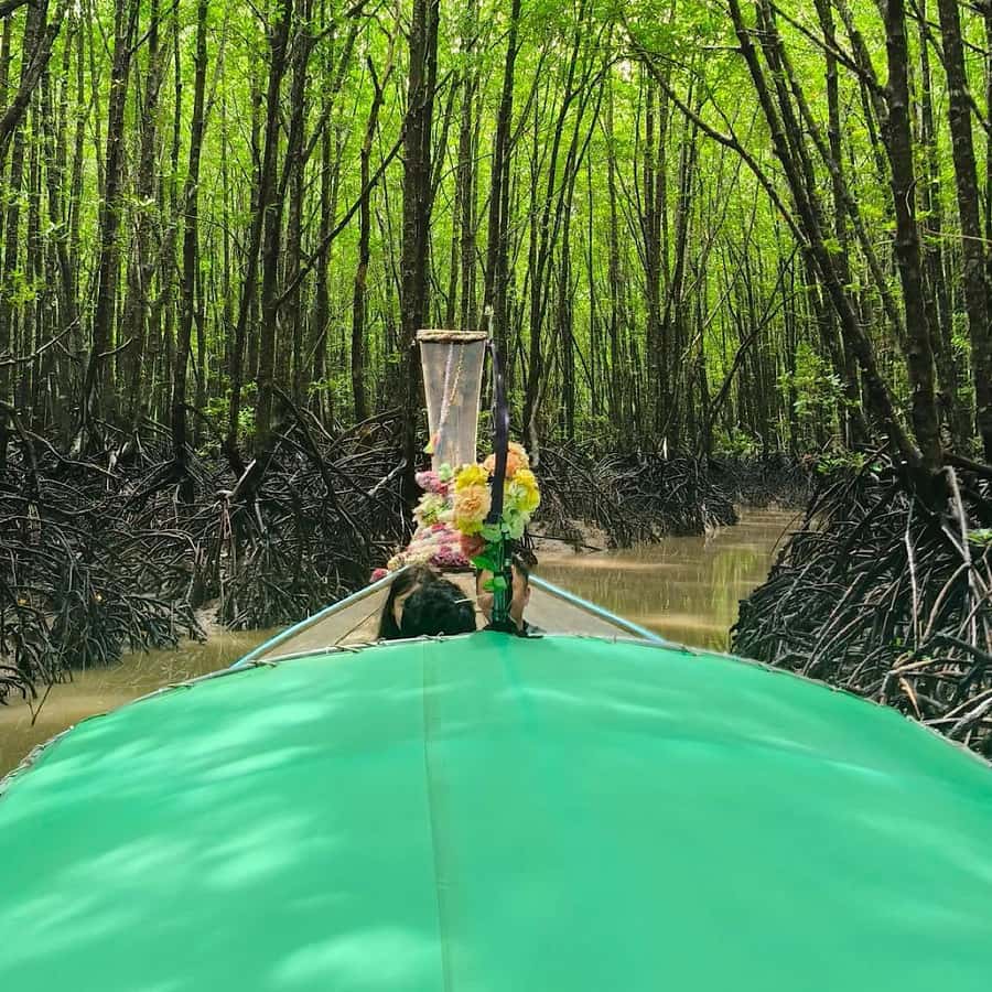 Ko Lanta: EXPLORE MANGROVE TOUR BY LONGTAIL BOAT WITH LUNCH - A Short Walk Through The Shaded Forest