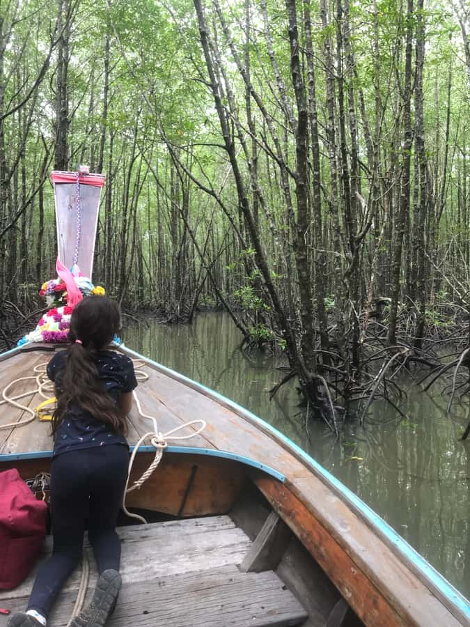 Ko Lanta: EXPLORE MANGROVE TOUR BY LONGTAIL BOAT WITH LUNCH - Practical Advice For A Better Outing