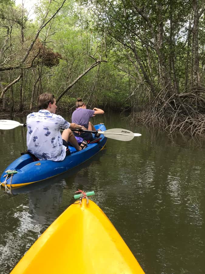 Ko Lanta: HALF DAY EXPLORE MANGROVE KAYAKING TOUR AND LUNCH - Key Details Before You Book