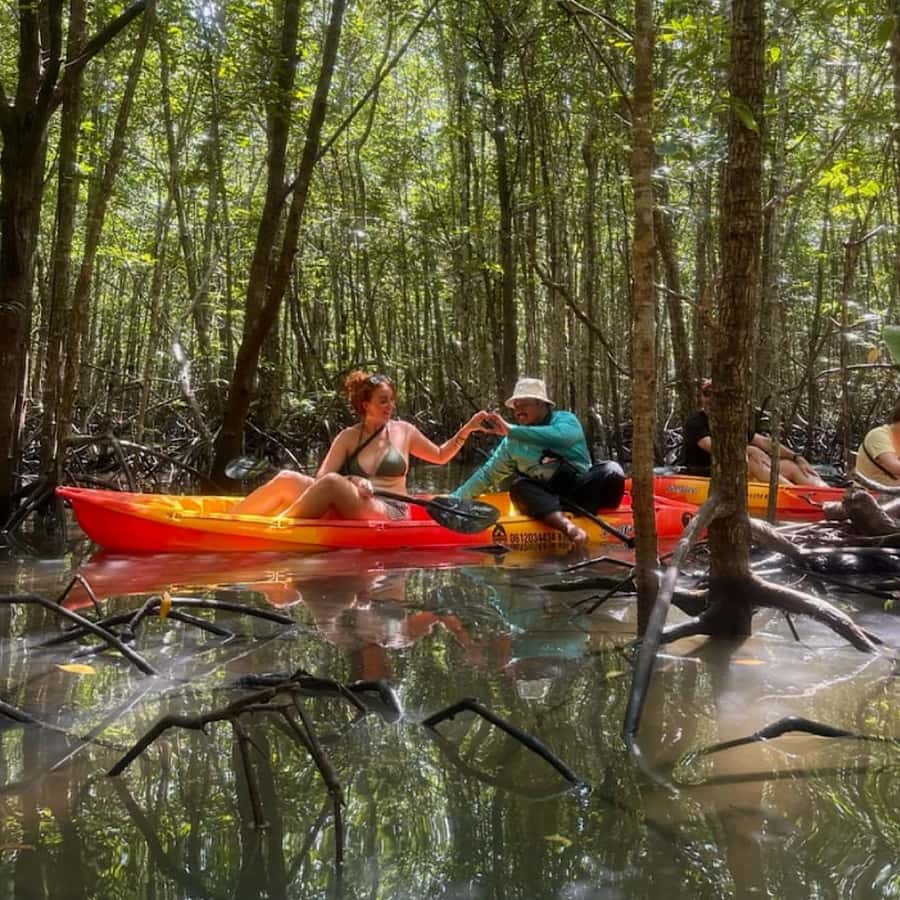 Ko Lanta: HALF DAY EXPLORE MANGROVE KAYAKING TOUR AND LUNCH - Kayaking Through the Mangrove Channels