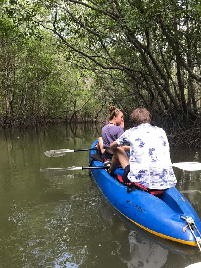 Ko Lanta: HALF DAY EXPLORE MANGROVE KAYAKING TOUR AND LUNCH - Village Life Along the Water