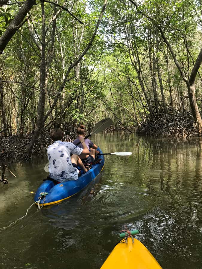 Ko Lanta: HALF DAY EXPLORE MANGROVE KAYAKING TOUR AND LUNCH - What the $28 Price Really Buys You