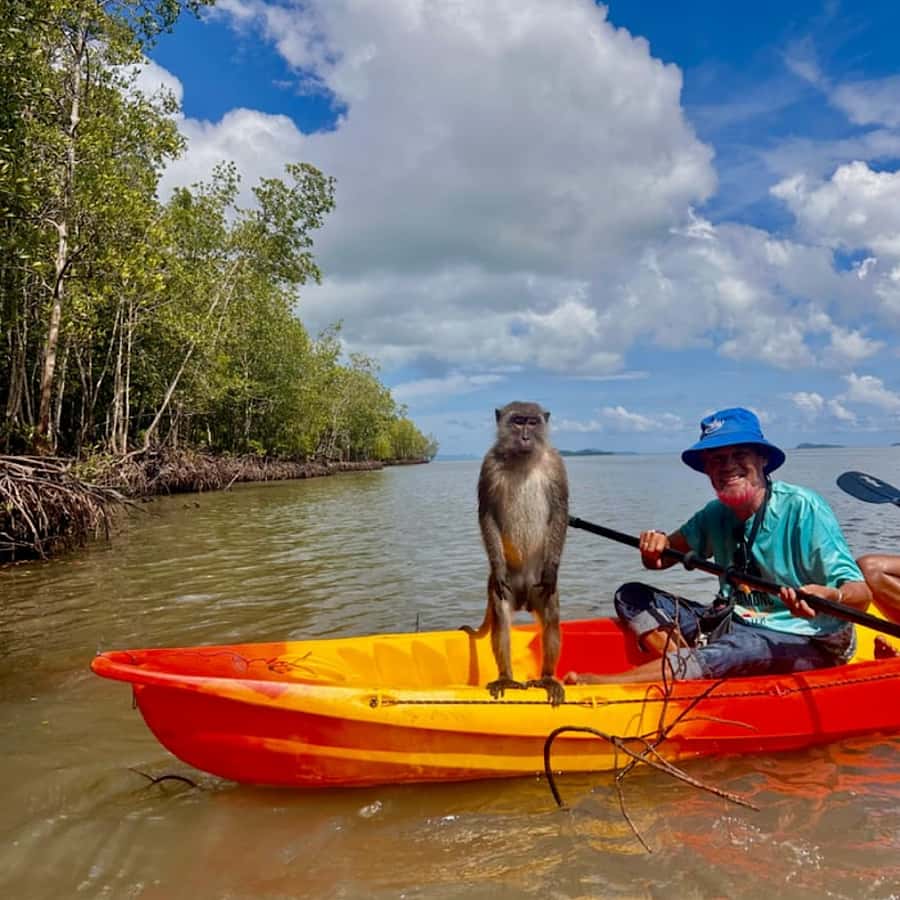 Ko Lanta: HALF DAY EXPLORE MANGROVE KAYAKING TOUR AND LUNCH - From Your Resort to Tung Yee Peng Pier