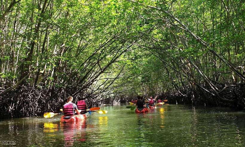 Ko Lanta: Half-Day Mangrove Kayaking Tour with Lunch - Key points at a glance