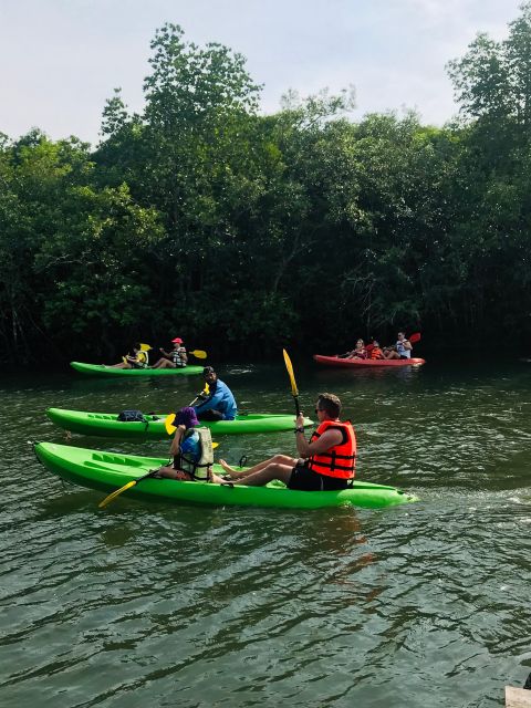 Ko Lanta: Half-Day Mangrove Kayaking Tour with Lunch - My verdict on Ban Thung Yee Peng