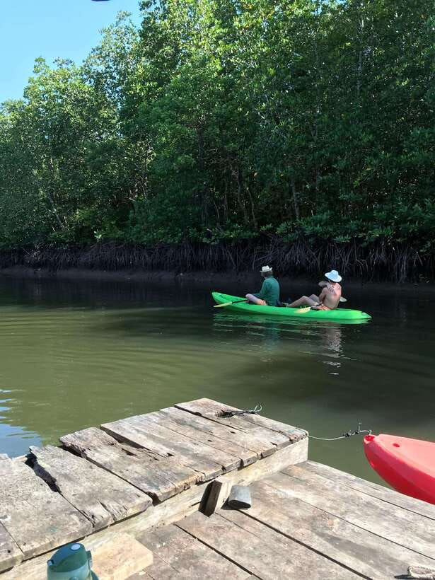 Ko Lanta: Half-Day Mangrove Kayaking Tour with Lunch - From your Ko Lanta hotel to Tung Yee Peng Pier