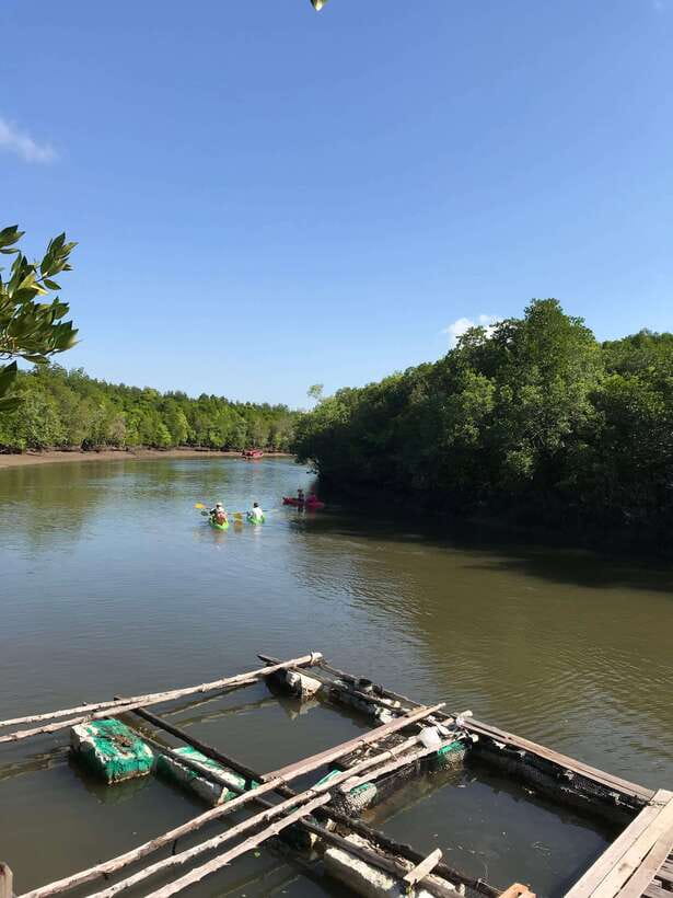 Ko Lanta: Half-Day Mangrove Kayaking Tour with Lunch - What makes the guides important