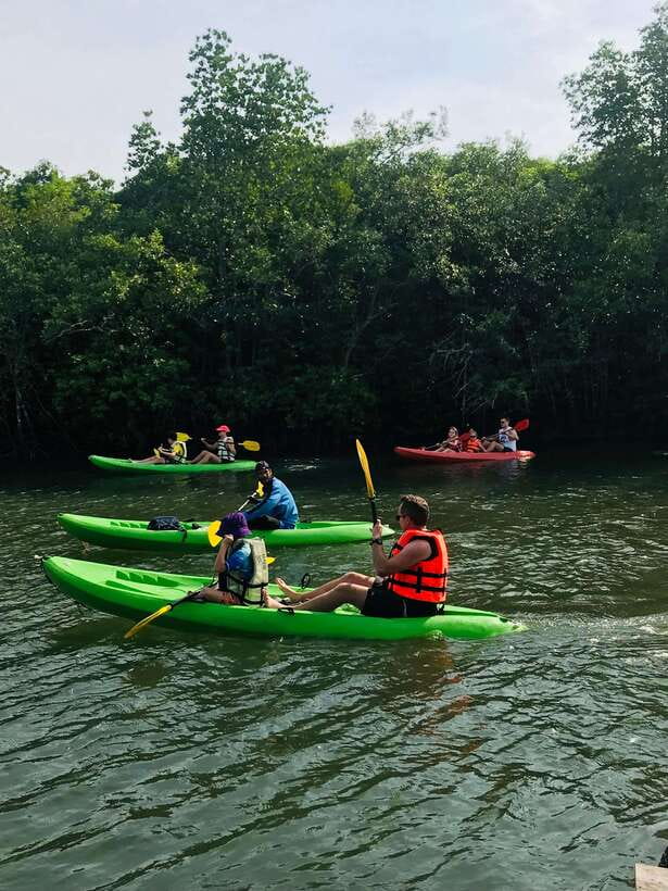 Ko Lanta: Half-Day Mangrove Kayaking Tour with Lunch - Is $26 good value on Ko Lanta?
