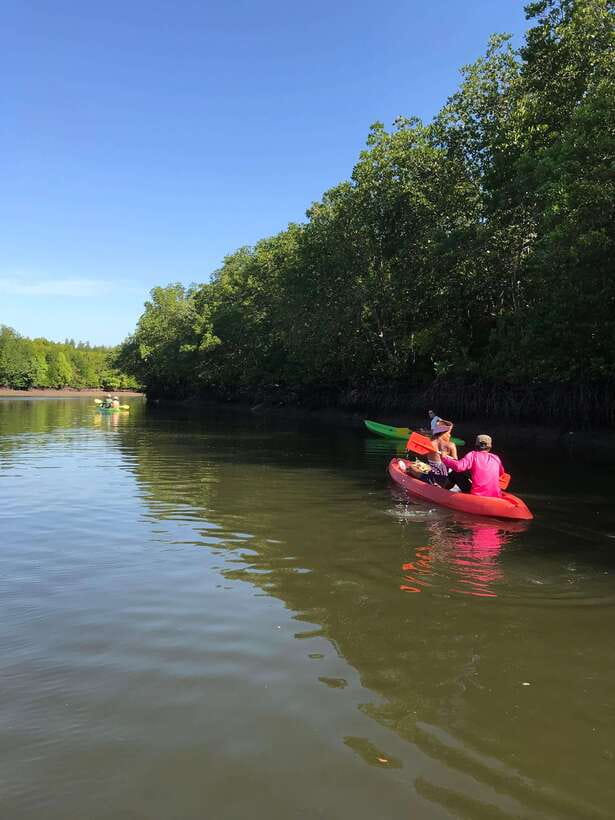 Ko Lanta: Half-Day Mangrove Kayaking Tour with Lunch - Who should book this Ko Lanta kayaking trip?