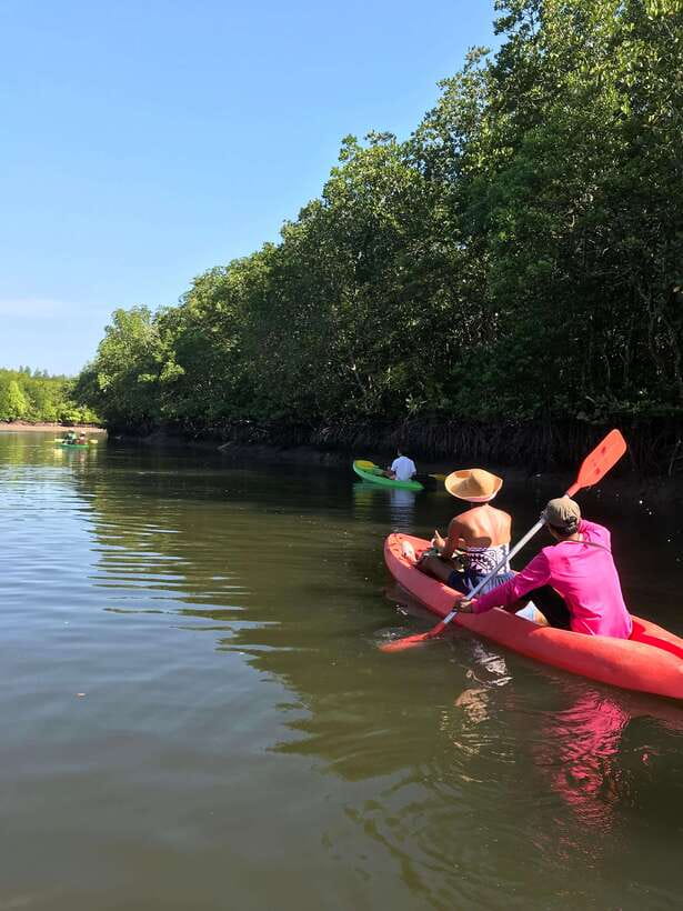 Ko Lanta: Half-Day Mangrove Kayaking Tour with Lunch - Paddling the Ban Thung Yee Peng mangroves