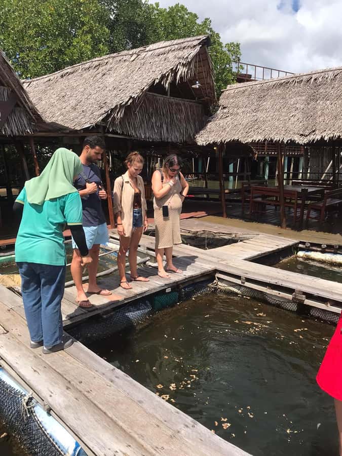 Ko Lanta: Half Day Tour Mangrove Boat Trip With Lunch - Is $28 a good price?