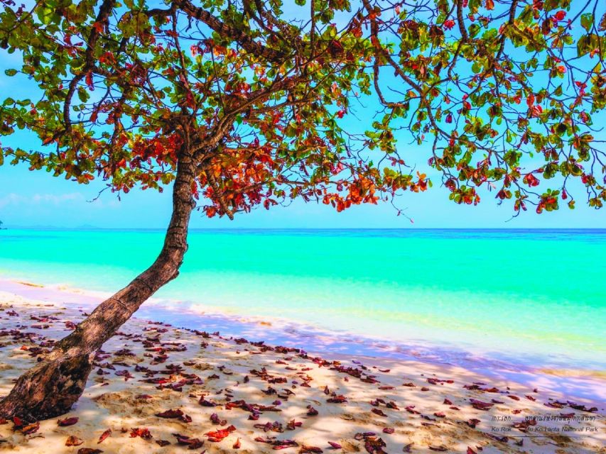 Ko Lanta: Koh Rok & Koh Haa Snorkelling Tour by Speedboat - What this Ko Lanta boat trip is really like