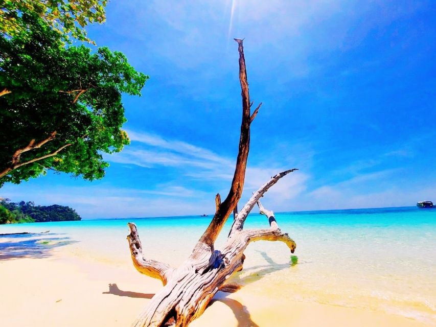 Ko Lanta: Koh Rok & Koh Haa Snorkelling Tour by Speedboat - Koh Rok’s twin islands and its best swimming water