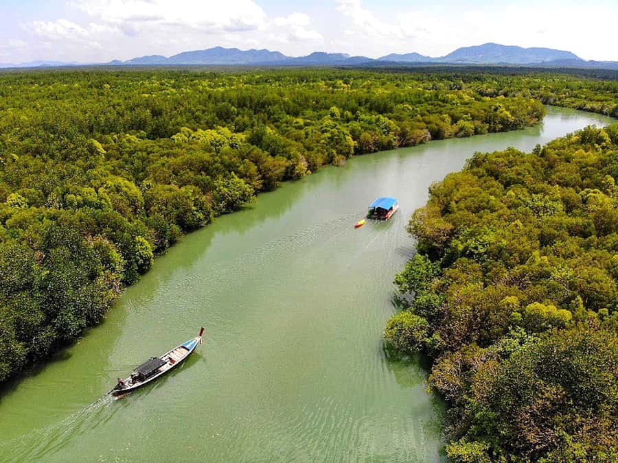 Ko Lanta: Mangrove Forest Boat Tour with Lunch or Dinner - Boarding the traditional longtail boat