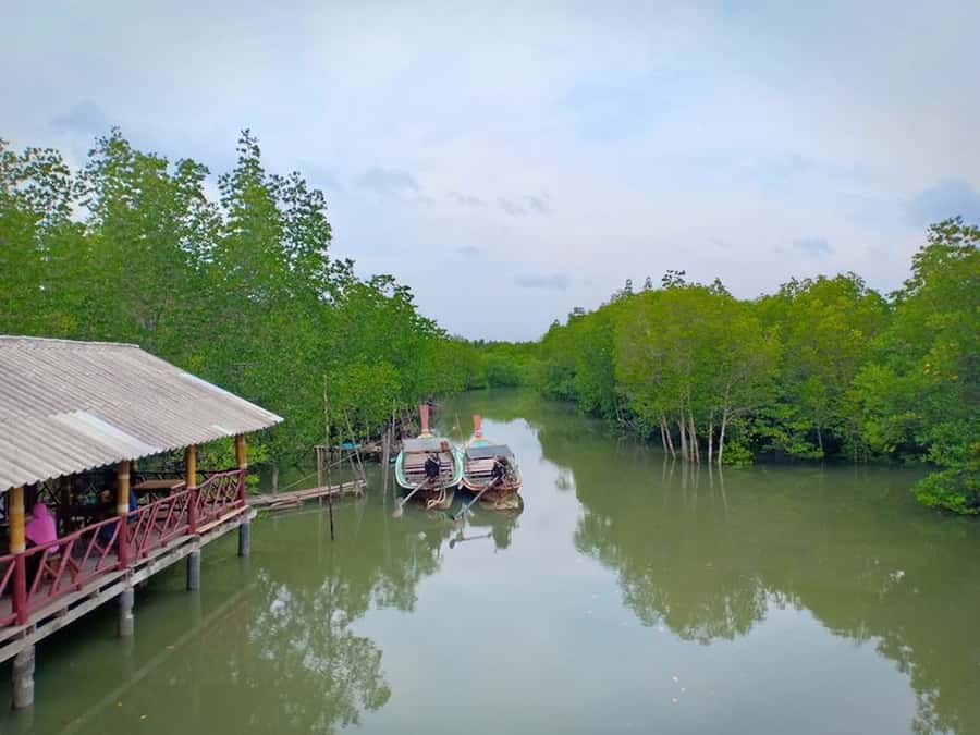 Ko Lanta: Mangrove Forest Boat Tour with Lunch or Dinner - Morning or afternoon: which departure works best?