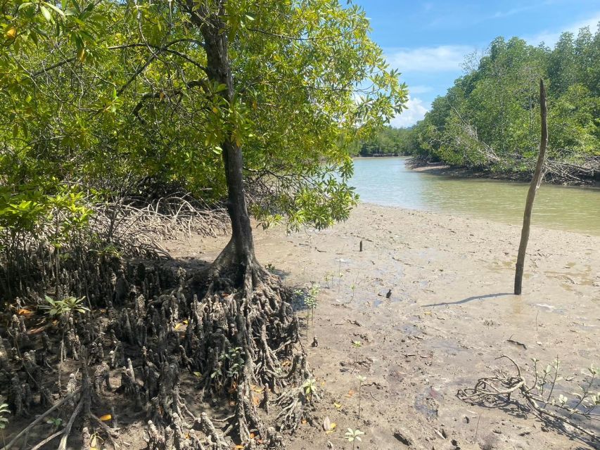 Ko Lanta: Mangrove Kayaking, Ko Talabeng, & Skull Island - What to bring and what to leave behind
