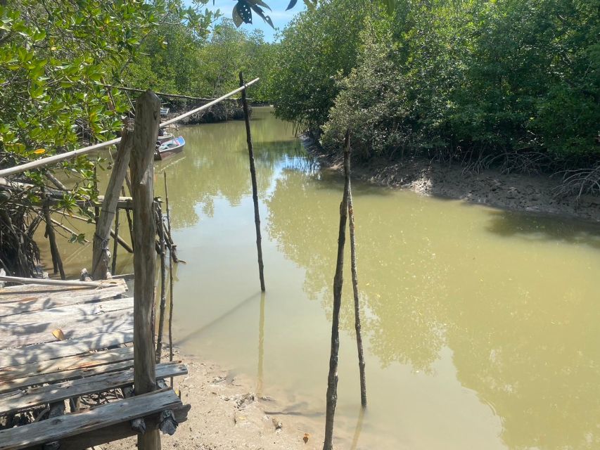 Ko Lanta: Mangrove Kayaking, Ko Talabeng, & Skull Island - Mangrove kayaking and the coastal food chain