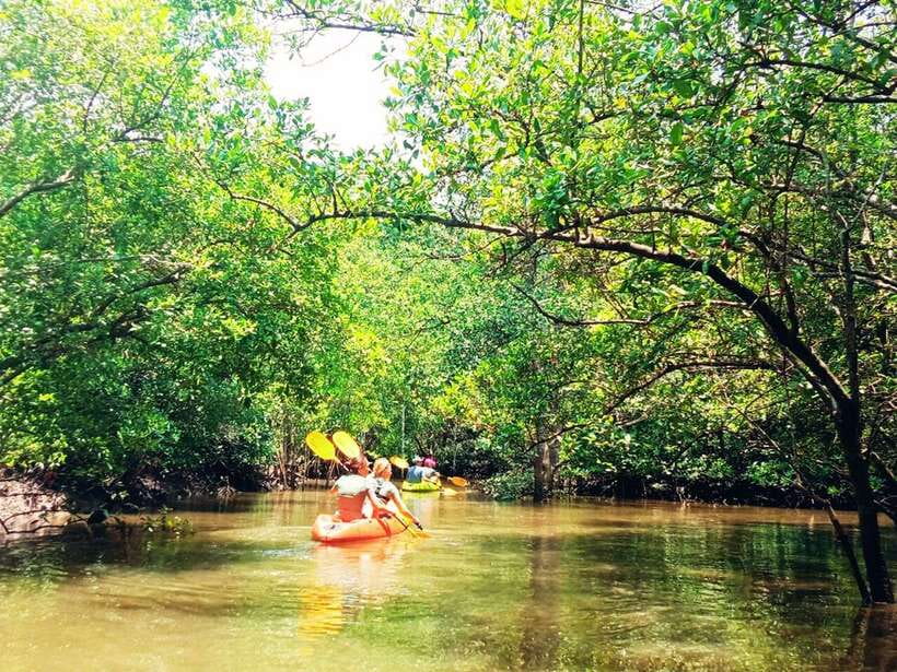 Ko Lanta: Mangrove Kayaking with Lunch and Hotel Transfer - Key points at a glance