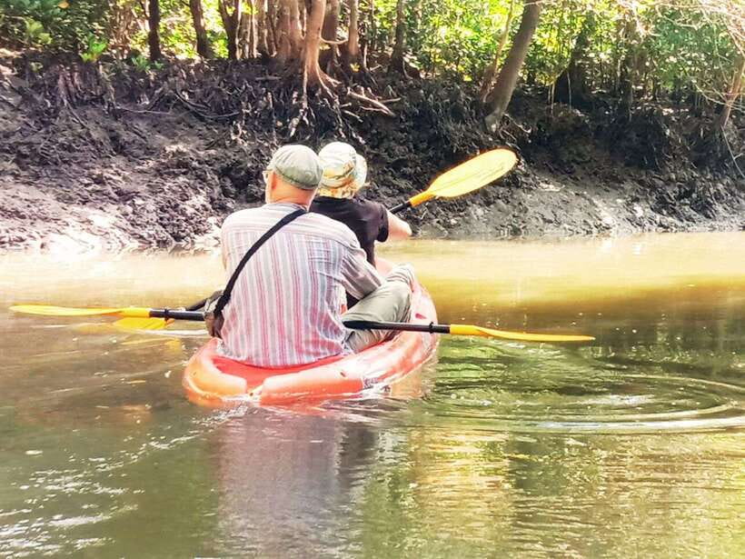 Ko Lanta: Mangrove Kayaking with Lunch and Hotel Transfer - Should you book it?