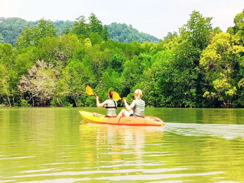 Ko Lanta: Mangrove Kayaking with Lunch and Hotel Transfer - Arriving at Tung Yee Peng Port
