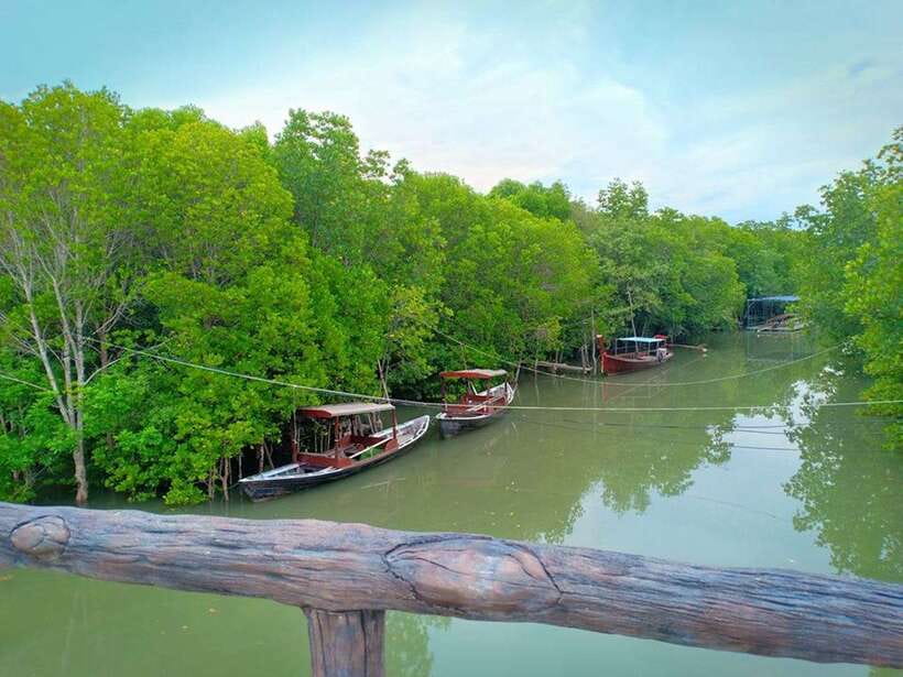 Ko Lanta: Mangrove Kayaking with Lunch and Hotel Transfer - Paddling through the mangrove channels