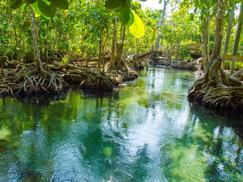 Ko Lanta: Private Exploration– Mangroves, Old Town & Beaches - Bamboo Beach for swimming, snorkeling, and lunch