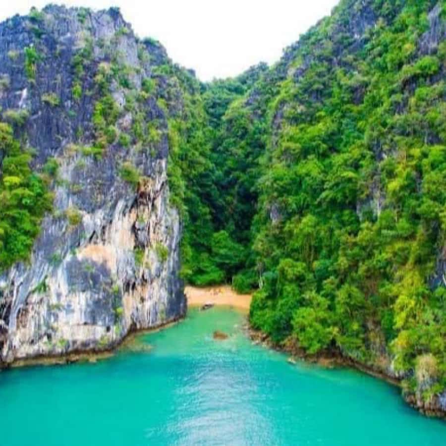 Ko Lanta: Sea Cave Kayaking Adventure Mangrove with Lunch - Who will enjoy this, and who should skip it